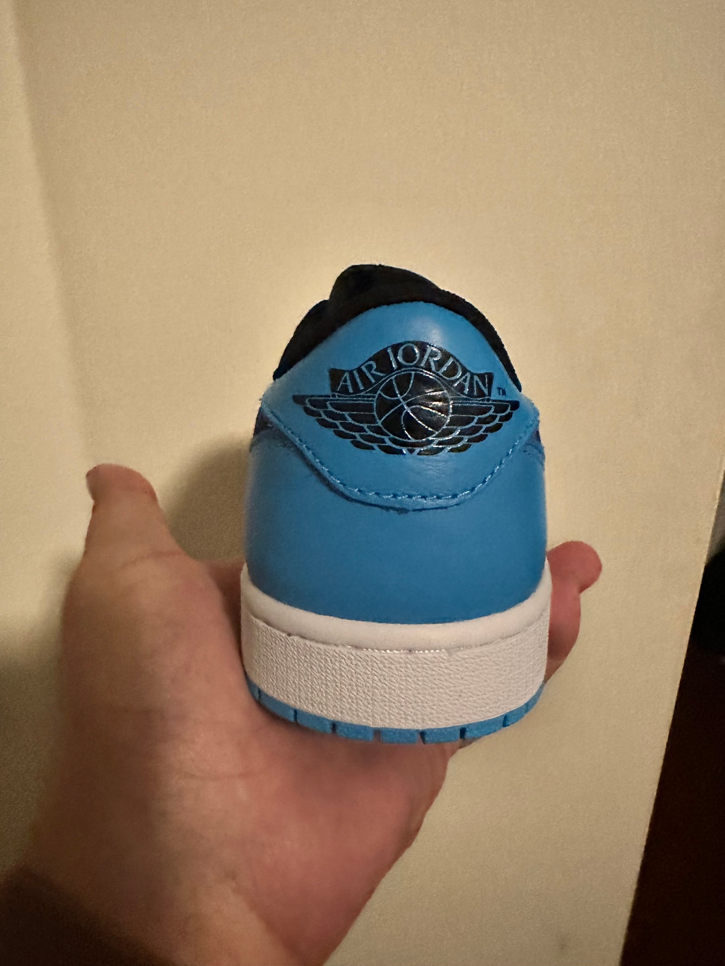 Jordan 1 Low Powder Blue Sz 8.5M, and 12M